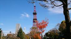 hokkaido-sapporo-tv-tower-boulevard-516149.jpg