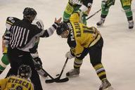 ice-hockey-hockey-game-ice-puck-309357.jpg