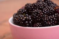 blackberries-bowl-macro-fruit-1546141.jpg