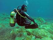 scuba-diver-scuba-diver-padi-water-1062895.jpg