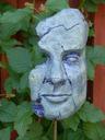 mask-concrete-colors-leaf-plant-852562.jpg