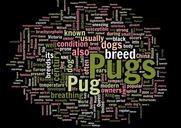 pug-wordcloud-words-tags-dog-breed-1466137.jpg