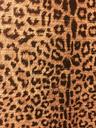 leopard-print-animal-print-backdrop-1135713.jpg