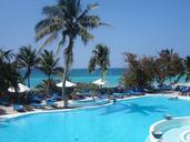 pool-palm-tree-sea-652126.jpg