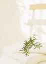 Branches-of-rosemary-and-white-towels.jpg