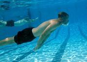 swimming-pool-water-man-underwater-81691.jpg