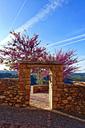 entrance-frame-archway-blossom-red-1188381.jpg