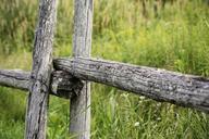 fence-wooden-rural-wood-old-413712.jpg