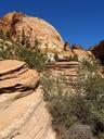 zion-national-park-utah-usa-rock-190016.jpg