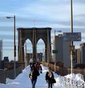 brooklyn-bridge-new-york-city-urban-91736.jpg