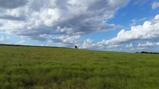 tree-field-countryside-landscape-1014912.jpg