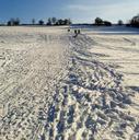 slide-tobogganing-skihang-children-966124.jpg