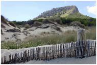 dunes-sand-fence-nature-mallorca-401344.jpg