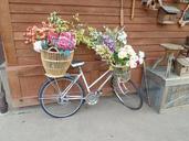 bicycle-flowers-basket-648065.jpg