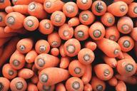 carrots-vegetables-orange-food-984287.jpg