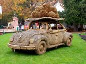 auto-vw-beetle-autumn-halloween-488948.jpg