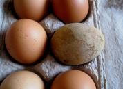 eggs-box-half-dozen-egg-food-314762.jpg