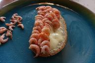 fjord-shrimp-prawns-cooked-food-1585642.jpg