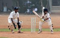 cricket-sports-view-close-stumps-166794.jpg