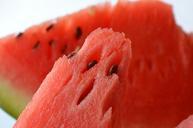 watermelon-fruits-red-refreshing-166842.jpg