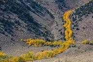 valley-trees-yellow-foliage-autumn-828708.jpg