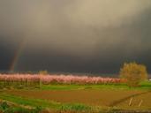 thunderstorm-rainbow-spring-636454.jpg