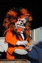 mask-waggis-orange-throw-carnival-724136.jpg