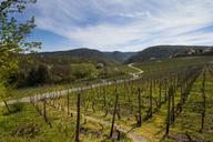 mountains-vineyards-winegrowing-1291555.jpg