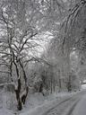 winter-landscape-snow-4284.jpg