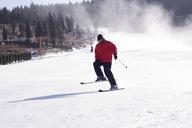 skiing-character-snow-mountain-862019.jpg