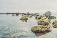 rocks-boulders-ocean-sea-water-698484.jpg