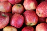 apple-fruit-vitamins-frisch-242555.jpg