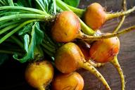 beets-yellow-green-leaves-organic-1420381.jpg