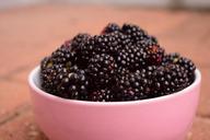 blackberries-bowl-fruit-1546147.jpg