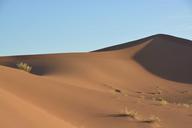 sahara-sand-dune-1075096.jpg