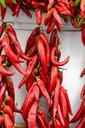 red-chili-peppers-fruits-ripe-219695.jpg