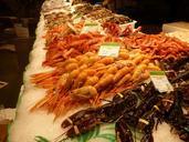 prawns-seafood-lobster-shrimp-1016068.jpg