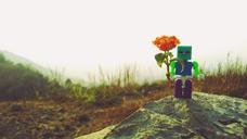 toys-lego-landscape-flower-991461.jpg