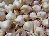 garlic-vegetables-food-eating-864296.jpg