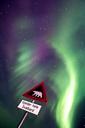 aurora-aurora-borealis-snow-1185471.jpg