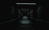 ladder-darkness-mystery-stairs-dawn-1497436.jpg