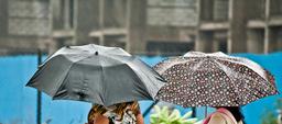 umbrella-rain-people-weather-390057.jpg