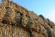 straw-dare-straw-bales-agriculture-480700.jpg