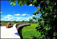 walkway-boardwalk-nature-path-102964.jpg