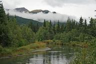 alaska-wilderness-forest-trees-67310.jpg