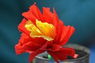 paper-flower-tinker-flower-red-1095656.jpg