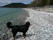 pebble-beach-shoreline-lake-water-56434.jpg