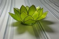 water-lily-glass-green-decoration-636990.jpg