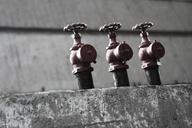 valve-pipes-industry-industrial-498409.jpg