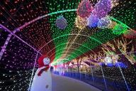 festival-of-lights-landscape-light-1113804.jpg